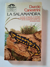 Salamandra duccio canestrini usato  Lazise