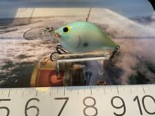 Custom painted rapala for sale  Decatur