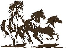 Horse rodeo western for sale  Chatsworth