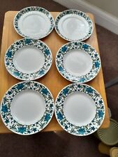 midwinter spanish garden plates for sale  MORDEN