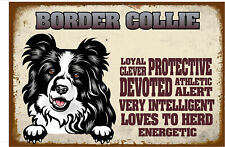 Border collie metal for sale  STOKE-ON-TRENT