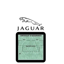 Jaguar vs104 porte d'occasion  Dreux