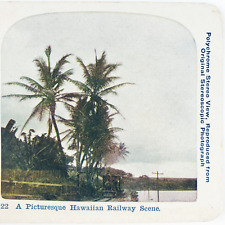 Trem ferroviário havaiano motor Stereoview c1905 Hawaii Railway Palm Tree RR F789 comprar usado  Enviando para Brazil