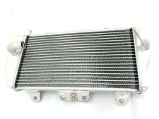 Original Yamaha YZ250F 2007-2009 Radiator Assy 5XC-1240A-GO for sale  Shipping to South Africa