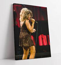 Tina turner singing for sale  LONDONDERRY