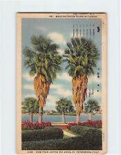 Postal Washingtonian Palms en Florida EE. UU. segunda mano  Embacar hacia Argentina