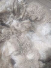 Raw fleece valais for sale  HEREFORD