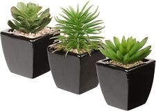 Used, Artificial Succulent Plants Set of 3 Home Office Decor Mini Potted Faux Plants for sale  Shipping to South Africa