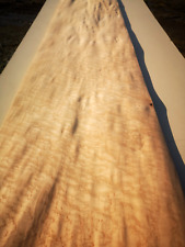 Birds eye maple for sale  Ireland