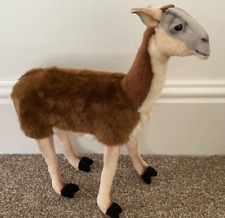 Hansa llama goat for sale  CHARD