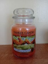 Yankee candle cucumber for sale  CHATHAM