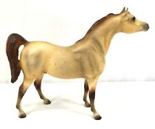 stallion arabian stud for sale  Rockford