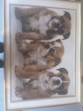 Professionally framed puppy for sale  Highland