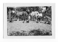 1937 family horse d'occasion  Expédié en Belgium