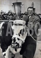 Vintage migliore mucca usato  Roma