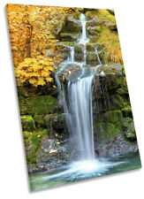 Forest waterfall landscape for sale  UK
