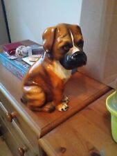 Large boxer dog for sale  CRAWLEY