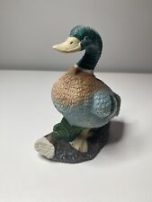 Painted mallard duck for sale  RINGWOOD