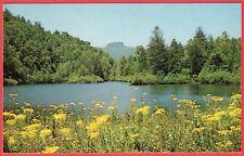 Postal Table Rock River Lake Grove Flowers Western North Carolina NC años 50 segunda mano  Embacar hacia Mexico