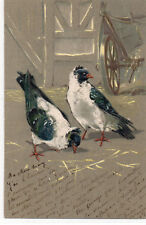 Cpa gaufrée pigeons d'occasion  Breuvannes-en-Bassigny
