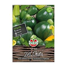 Gemüsesamen zucchini eight gebraucht kaufen  Deutschland