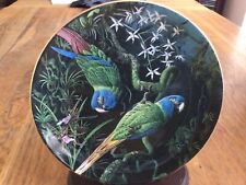 Macaw plate blue for sale  BALLYCLARE