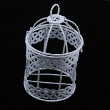 Rustic birdcage succulent for sale  Shipping to Ireland
