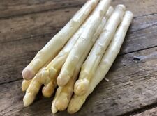 Graines asperge blanche d'occasion  Pleumeur-Bodou