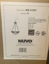 Nuvo lighting 3187 for sale  Climax