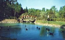 Cartão postal cromado antigo lago artificial no zoológico de Granby Quebec Canadá comprar usado  Enviando para Brazil