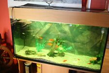 Aquarium 200l komplettset gebraucht kaufen  Dresden