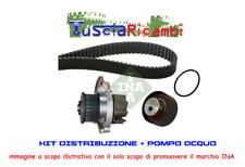 Kit distribuzione ina usato  Soriano Nel Cimino