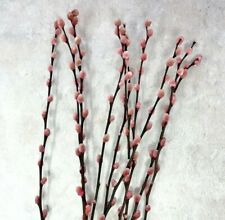 Dried pussy willow for sale  Shipping to Ireland