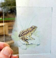 Stained glass frog for sale  BATTLE