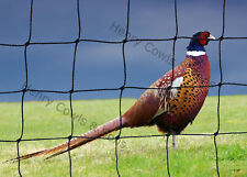 Poultry game netting for sale  HELSTON