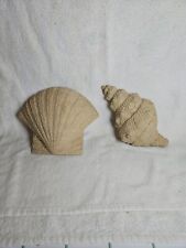 Set seashell wall for sale  Webberville