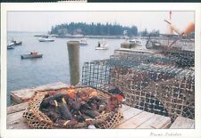 Maine lobster ready for market five islands  postcard for sale  Shipping to South Africa
