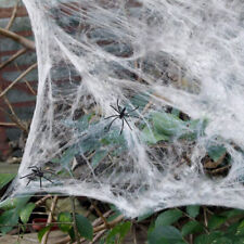 Spider web spiders for sale  POLEGATE