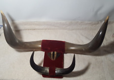 Bull steer horn for sale  Prescott Valley