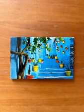 fridge magnet calamita frigo usato  Brescia