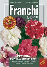 Semi seeds petunia usato  Morra De Sanctis