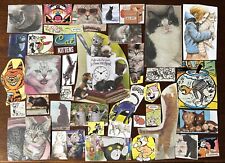 Cats kitten scrapbooking for sale  ARMAGH
