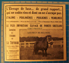 Elevage poneys shetland d'occasion  Beaumont-de-Lomagne
