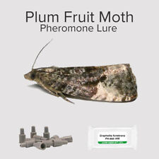 Plum moth pheromone for sale  FLINT