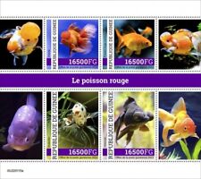 Guinea 2022 goldfish for sale  Shipping to Ireland