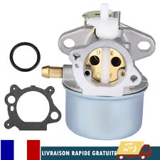 Carburateur briggs stratton d'occasion  France
