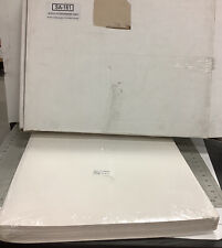 Usado, (QTY 30) almohadillas en polvo de filtro de papel NOB ESA-161 8602 17,5"" X 11"" con orificio segunda mano  Embacar hacia Argentina
