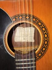 Eko gitarre gebraucht kaufen  Angelbachtal