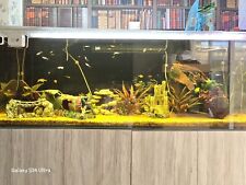 Aquarium fish tank for sale  STAFFORD