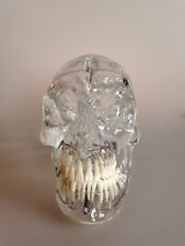 Transparent skull mandibular for sale  Shipping to Ireland